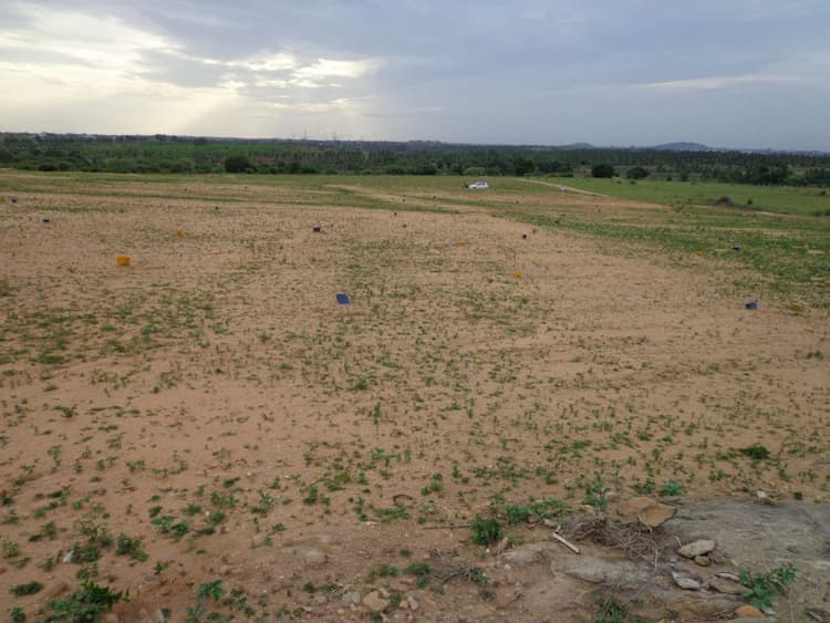 Plot for sale