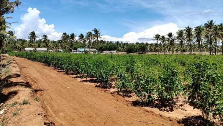 Single Property Image