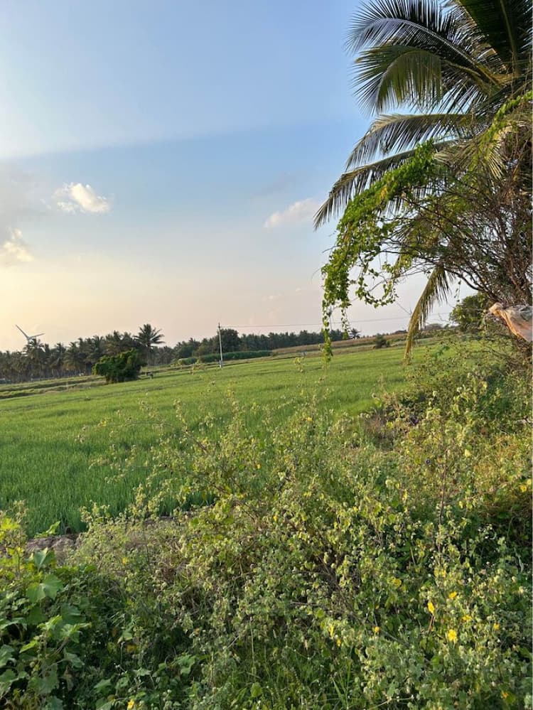 3 Acre Land for Sale