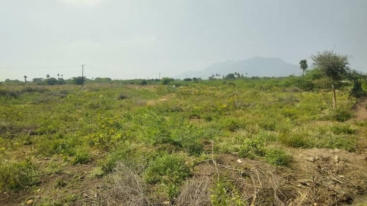 agri land for sale thottiyam