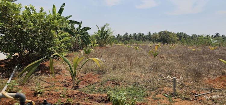 21 acre land for sales