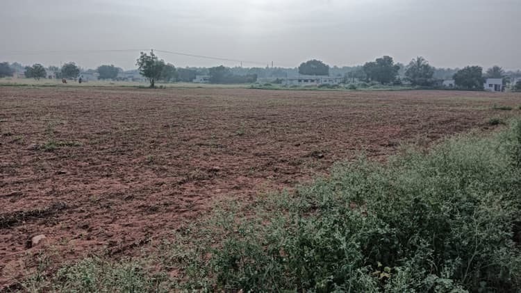 agri land for sale