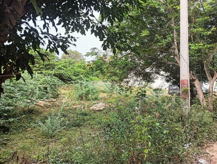 Single Property Image