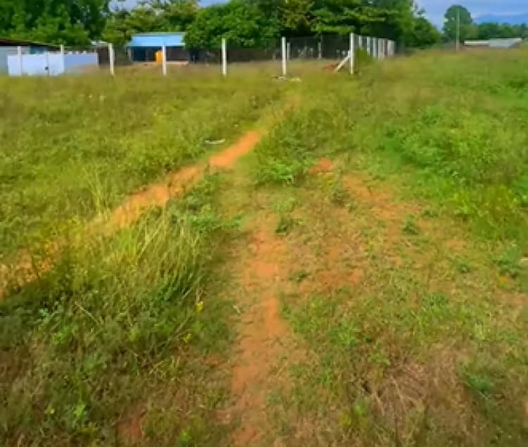 Single Property Image