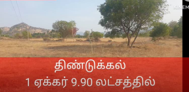 Farm Land for Sale