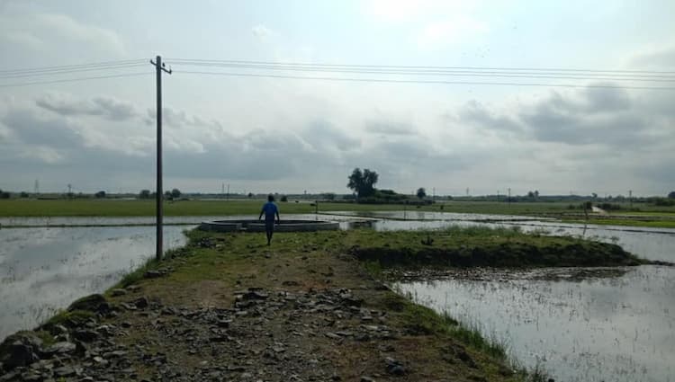 3acres nanjai land for sale.