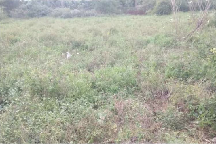 6 Cent land for sales