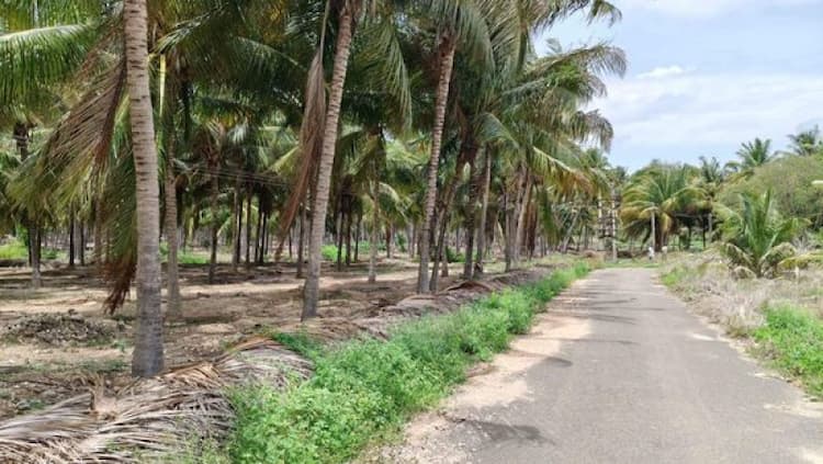 Single Property Image