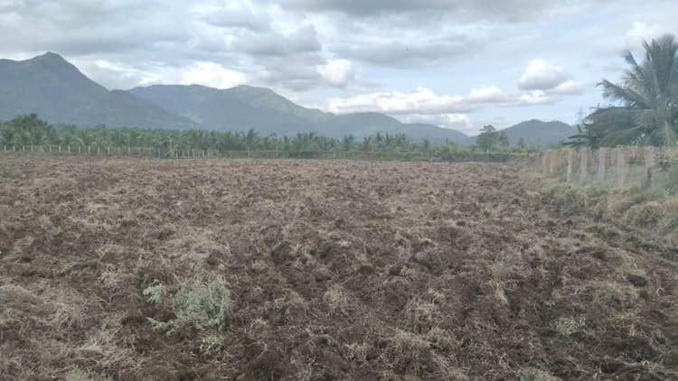 Land sale