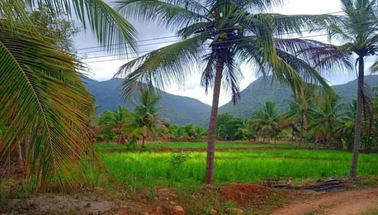 Single Property Image