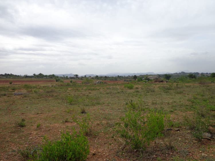 Plot for sale
