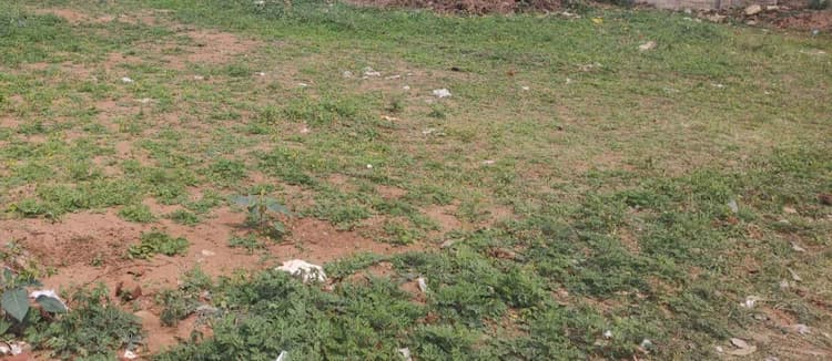 LAND FOR SALE