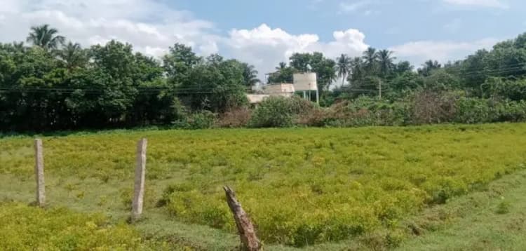 Single Property Image