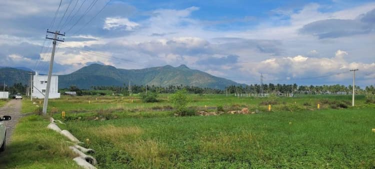 Farm land sale