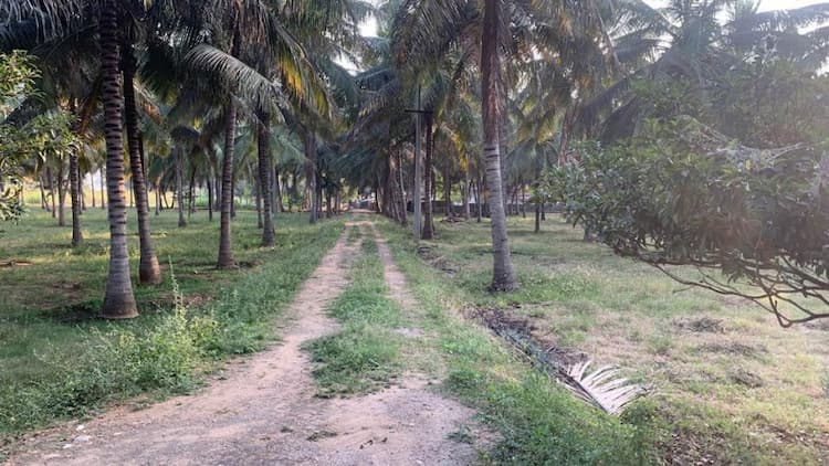 5.67 Acre Land for Sale