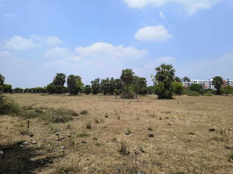 Land for sales