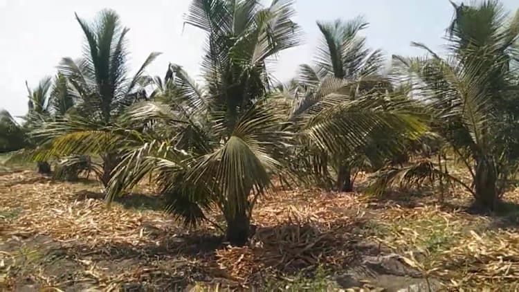 2.50 Acre Land for Sale