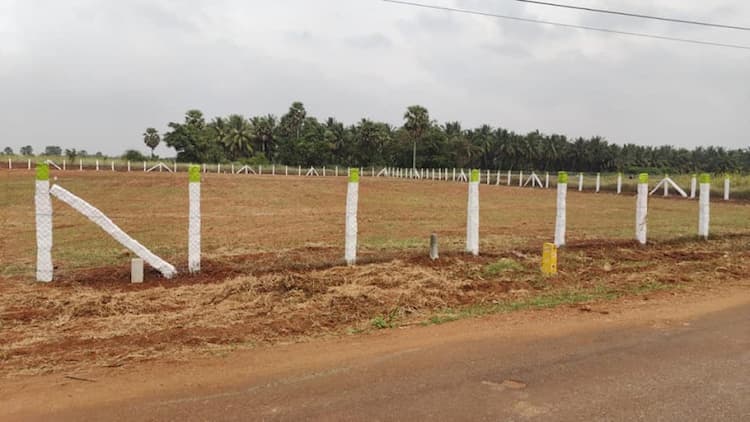 land for sale