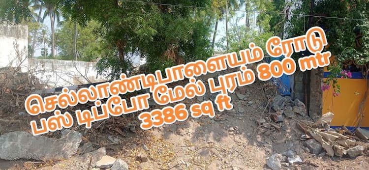 Single Property Image