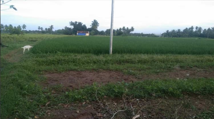 Agri Land For Sale