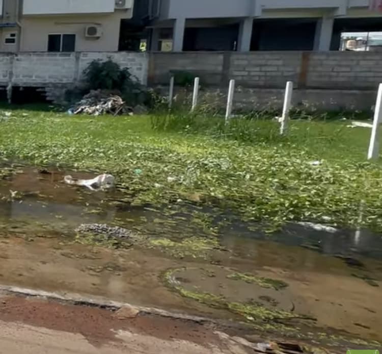 Land for sales