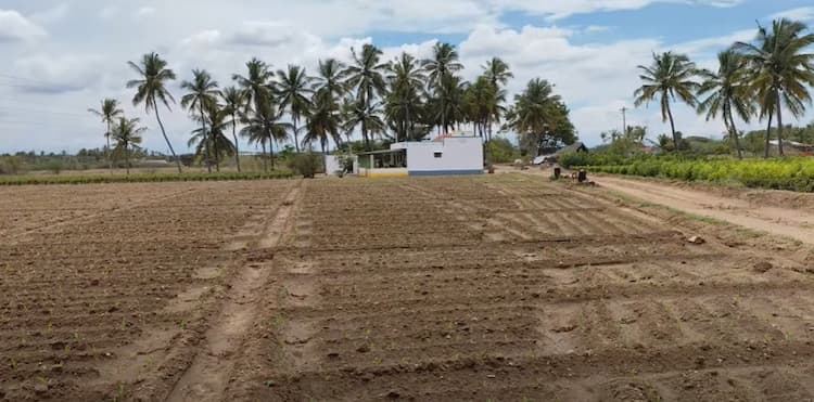 Single Property Image