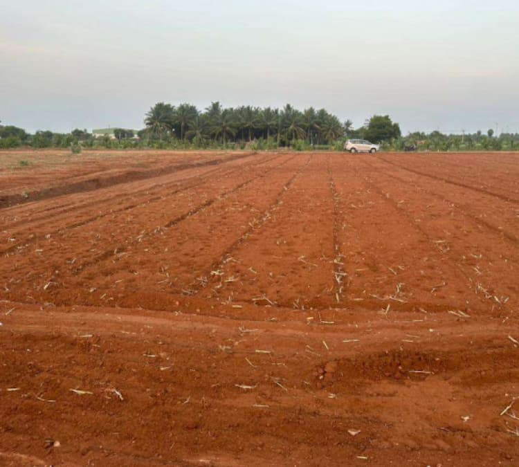 1 Acre Agriculture Land for Sale