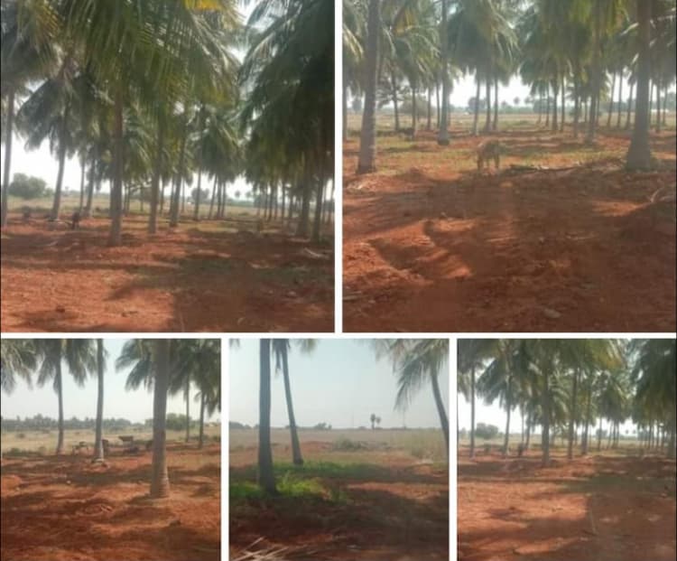 25 Acre Land for Lease