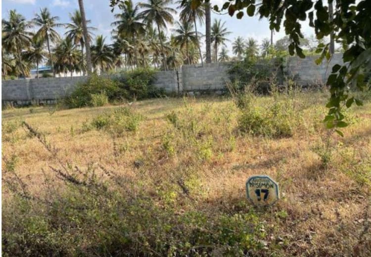 Land for Sale