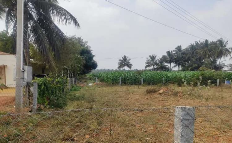 10 Cent Land for Sale