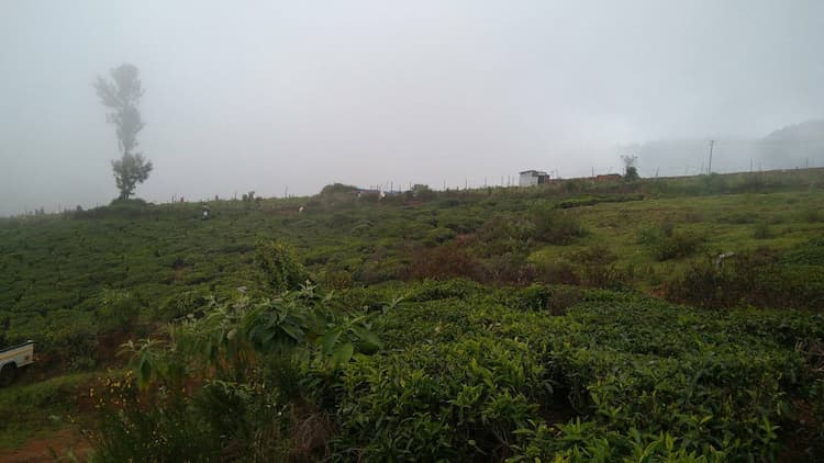 LAND FOR SALE IN OOTY TO KOTAGIRI HIGHWAY ROAD