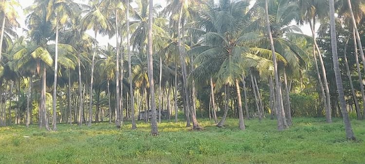 Single Property Image