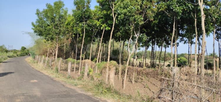 Single Property Image