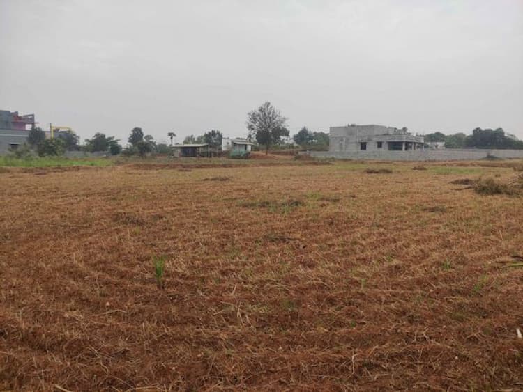 Empty Land for Sale