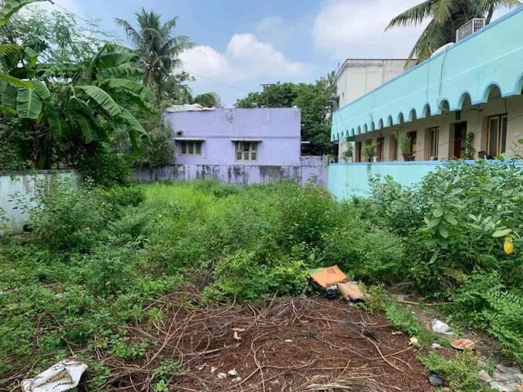 Land for sales