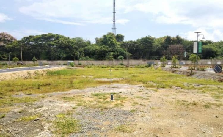 Land for Sale