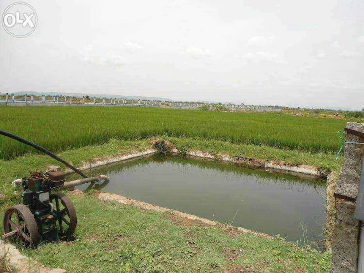 Land sale