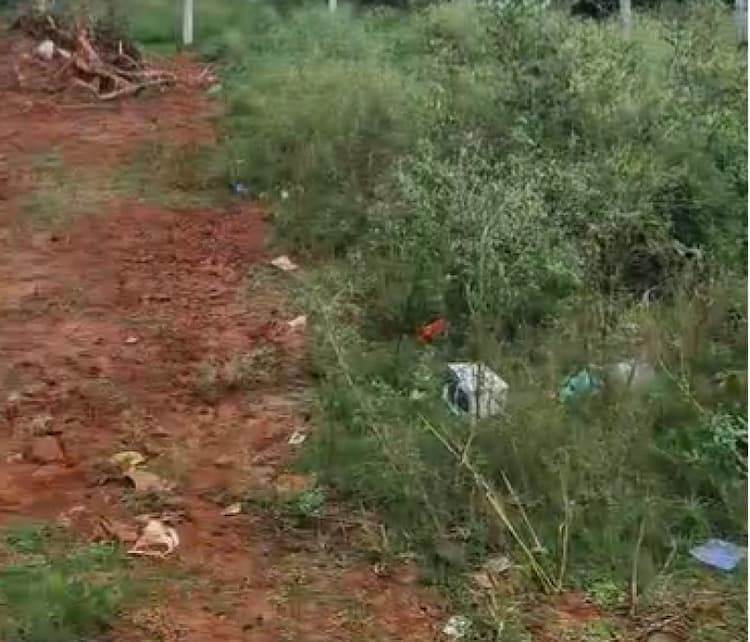 Single Property Image