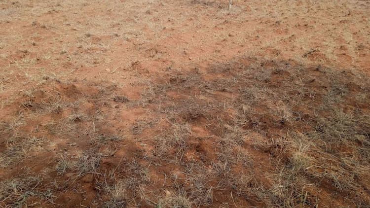 5.75 Acre Land for Sale