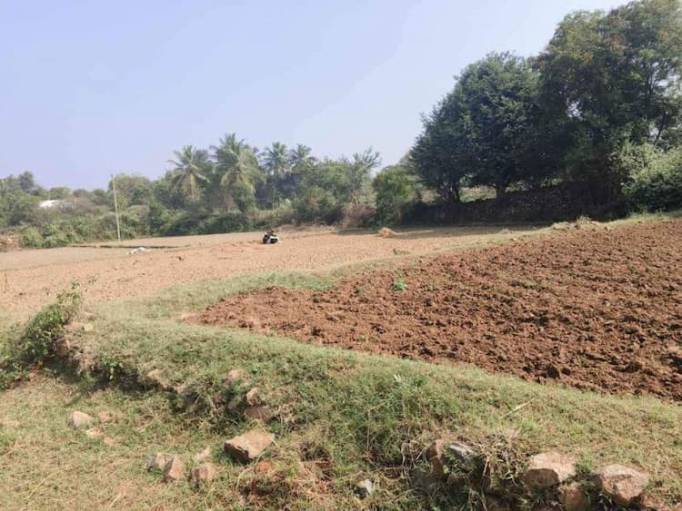 Agri Land For Sale