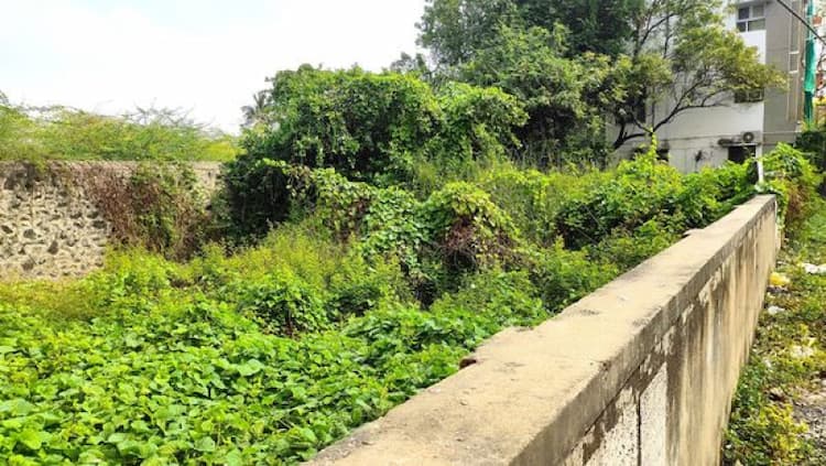 Single Property Image