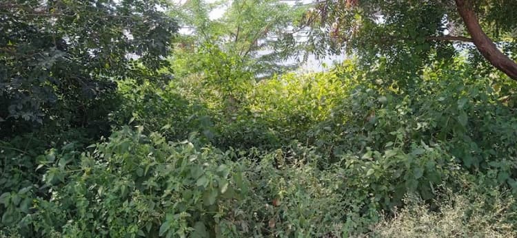 site for sale