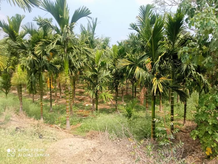 agri land for sale 