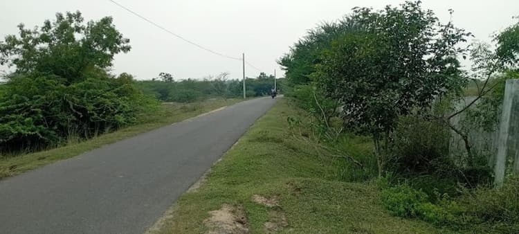 Agricultural Farmland for Sale