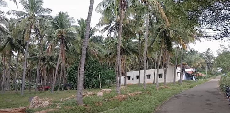 Single Property Image