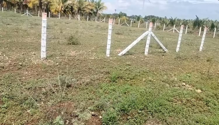 Land for Sale