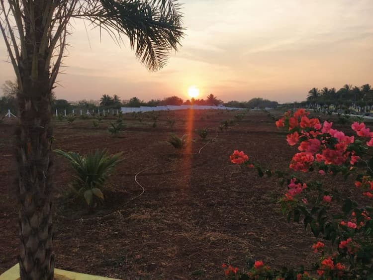 farm land for sale