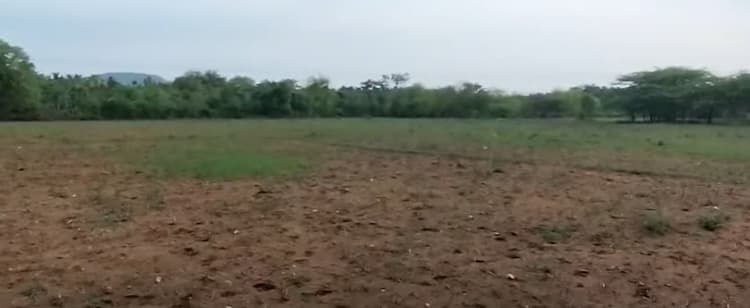 Low Budget Land for Sale