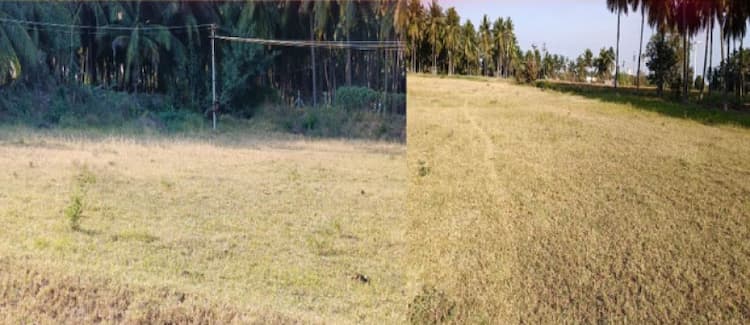 2.50 Acre land for Sale