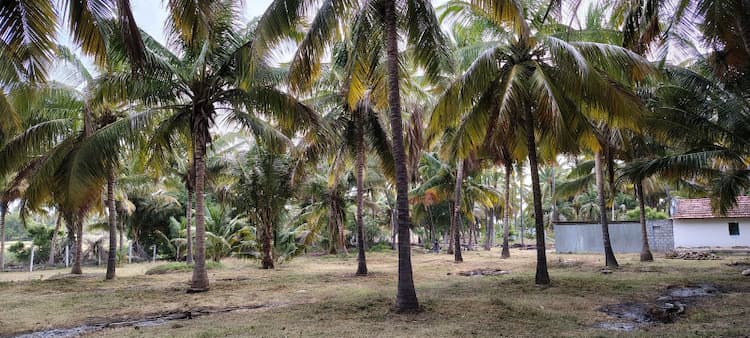 Single Property Image